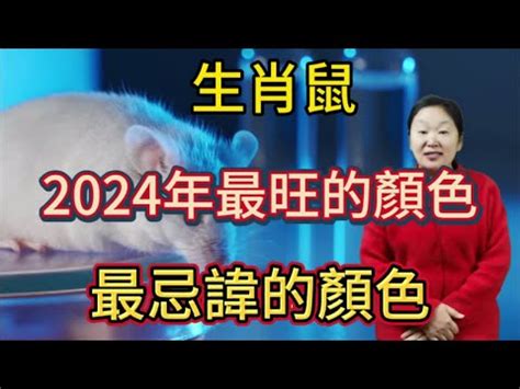 2024皮夾顏色生肖|2024年錢包用4種顏色小心破財！命理師曝3色開運招財，6大秘訣。